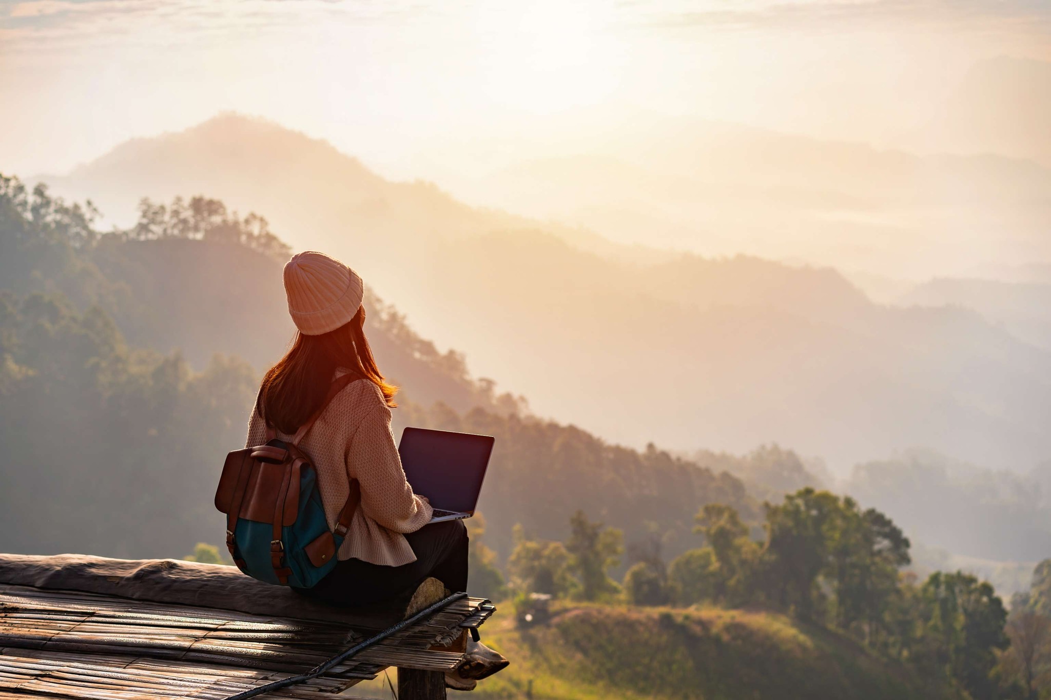 About CALMS Inc.